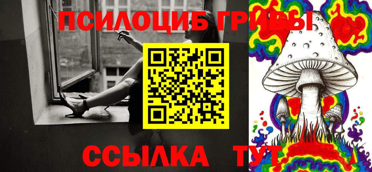 Галлюциногенные грибы Cubensis Грязи