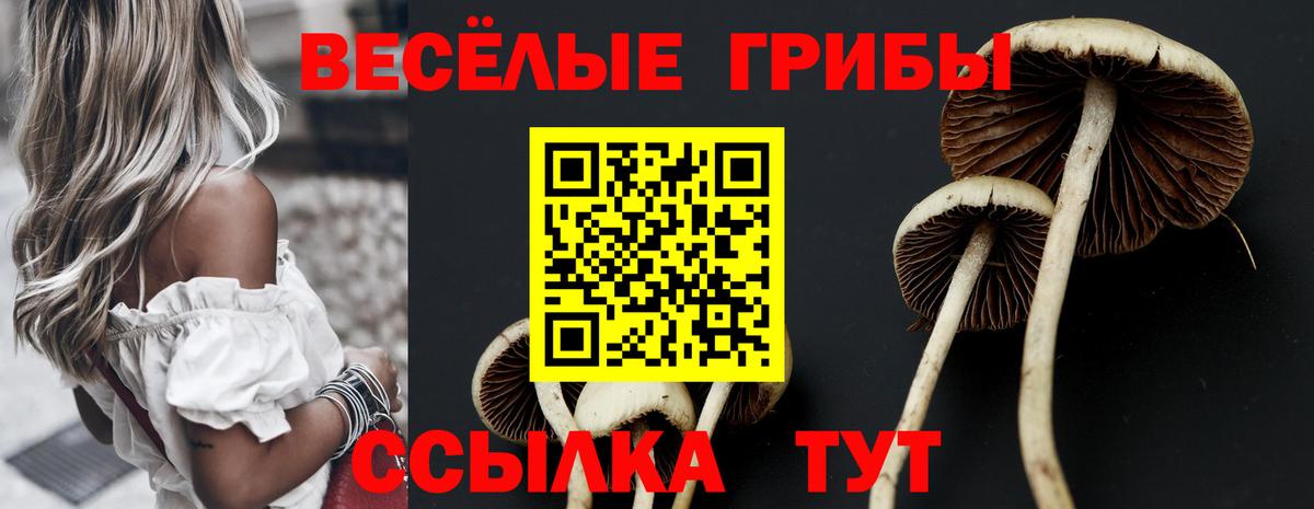 Грязи  Псилоцибиновые грибы ЛСД  Вход с VPN  Галлюциногенные грибы мухоморы 